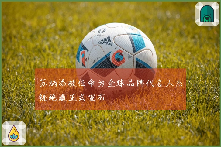 苏炳添被任命为全球品牌代言人杰锐跑道正式宣布