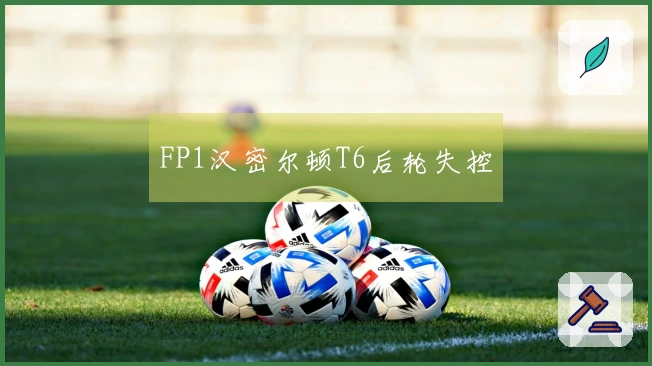 FP1汉密尔顿T6后轮失控