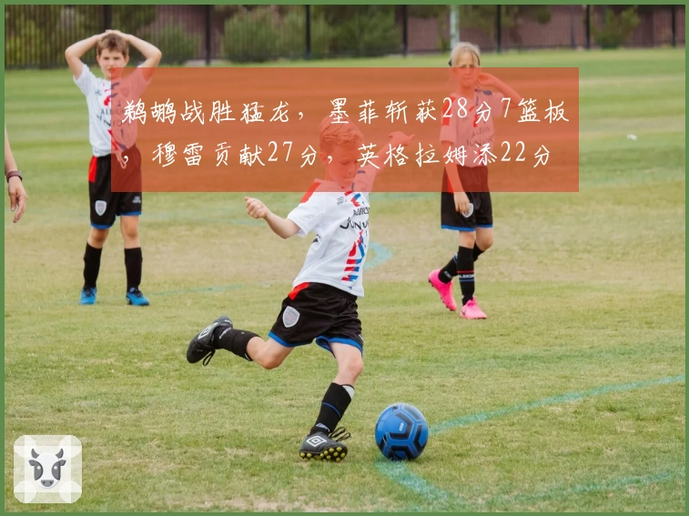 鹈鹕战胜猛龙，墨菲斩获28分7篮板，穆雷贡献27分，英格拉姆添22分