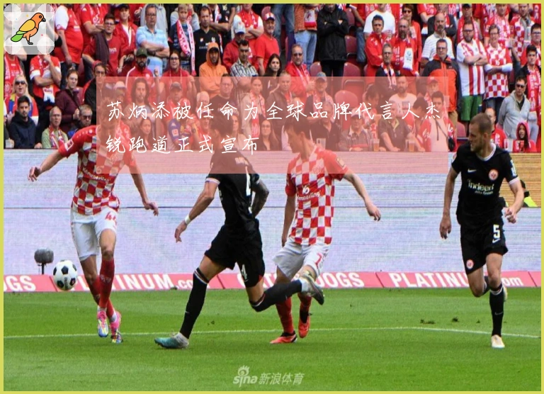 苏炳添被任命为全球品牌代言人杰锐跑道正式宣布